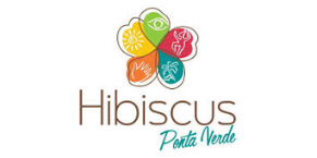 Hibiscus Paraia